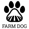 Farm Dog